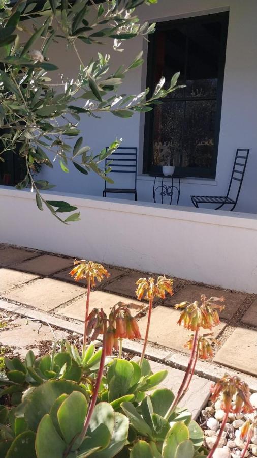 6 Olives B&B Darling Exterior photo